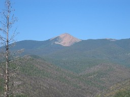 Baldy from near Dan Beard